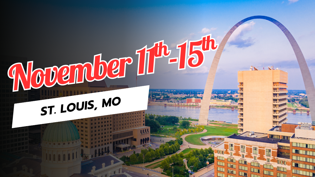 View of the St. Louis Arch.